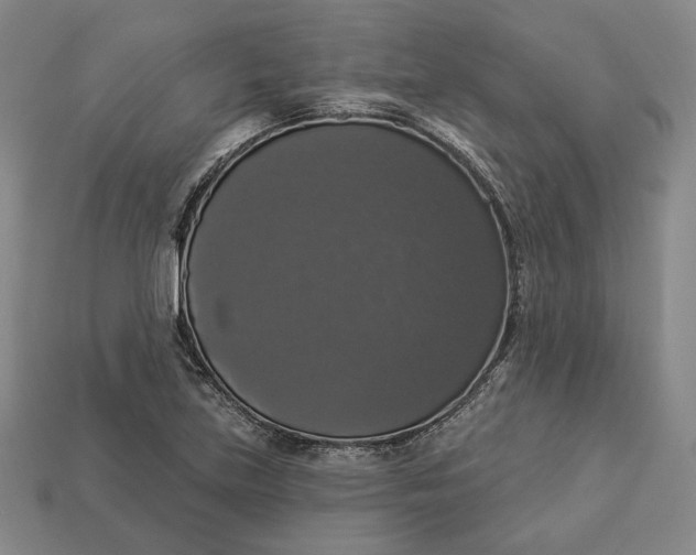 X0000112911219200909141244