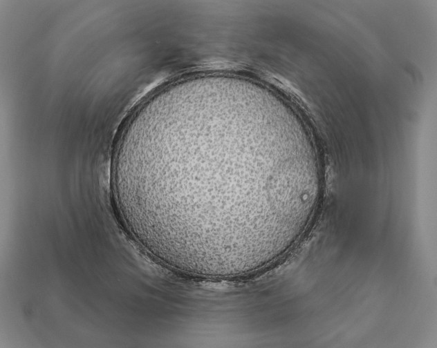 X0000112911220200909141244