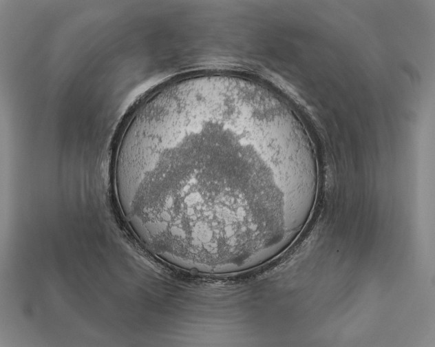 X0000112911222200909141244