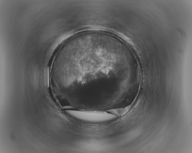 X0000112911223200909141244