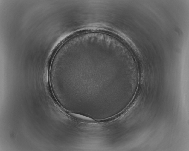 X0000112911224200909141244