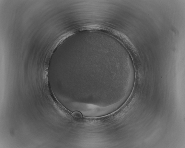 X0000112911225200909141244