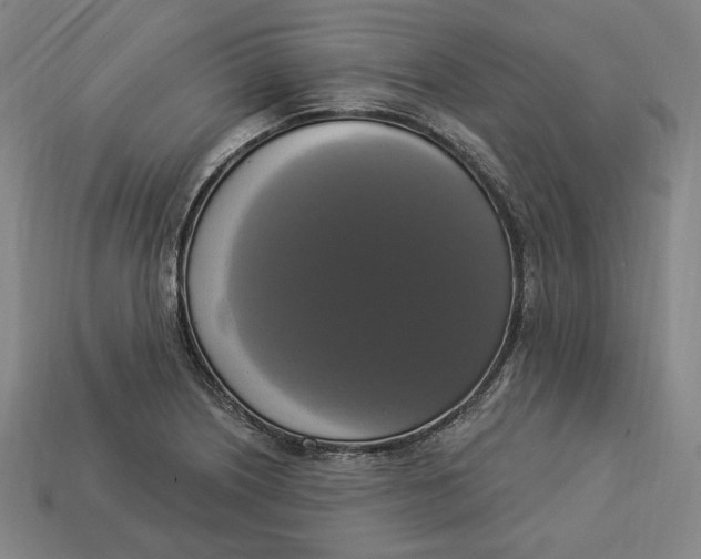 X0000112911226200909141244