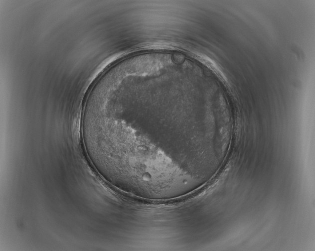 X0000112911228200909141244