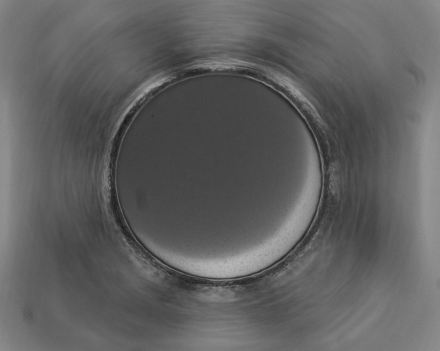 X0000112911229200909141244