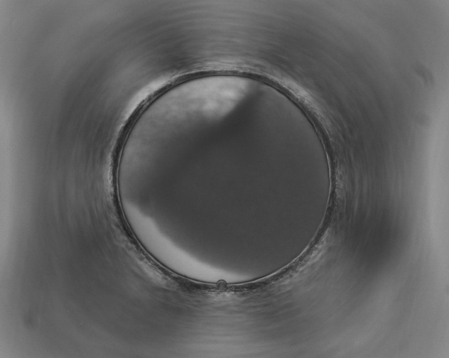 X0000112911230200909141244