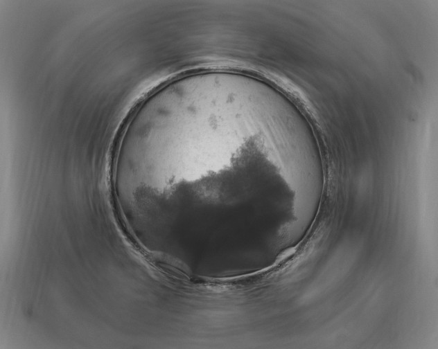 X0000112911231200909141244