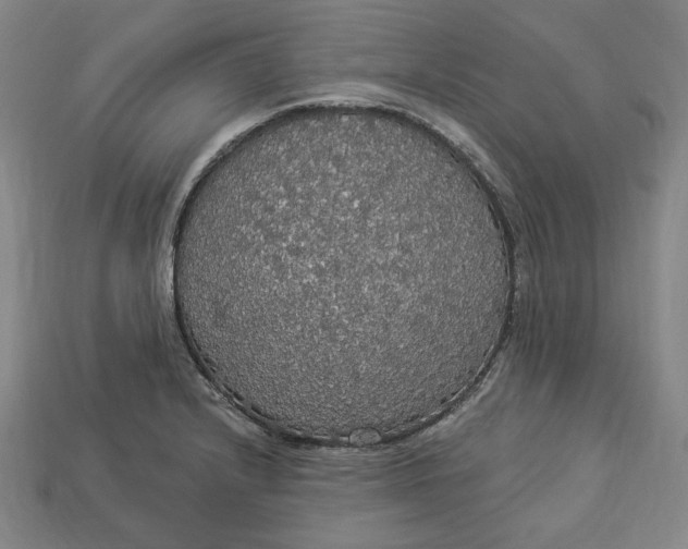 X0000112911232200909141244