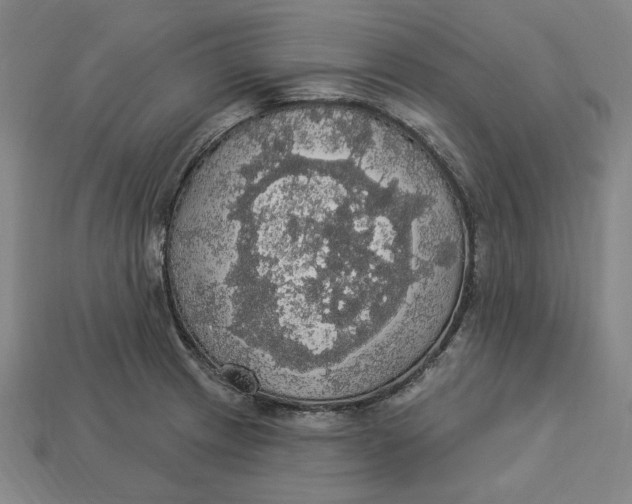 X0000112911233200909141244