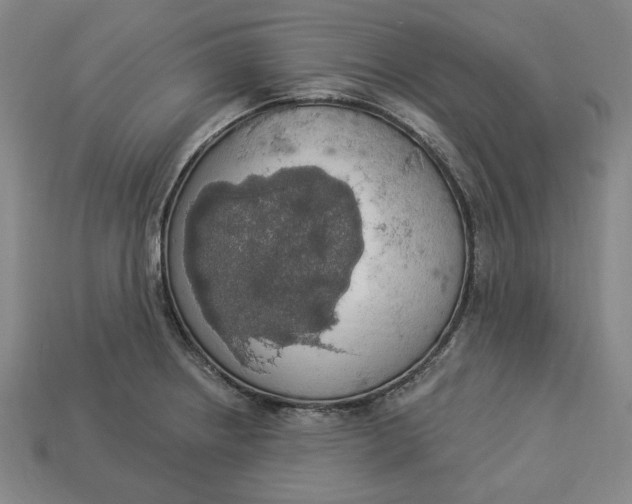 X0000112911234200909141244