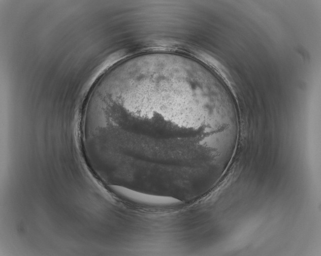 X0000112911235200909141244