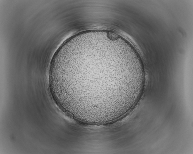 X0000112911236200909141244