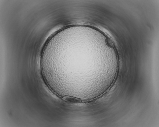 X0000112911238200909141244