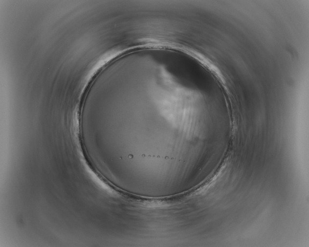 X0000112911239200909141244