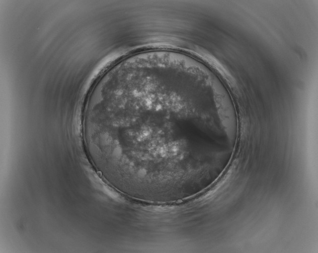 X0000112911240200909141244