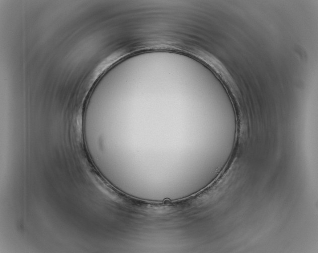 X0000112911242200909141244