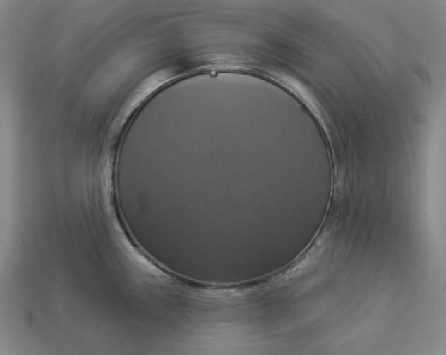 X0000112911243200909141244