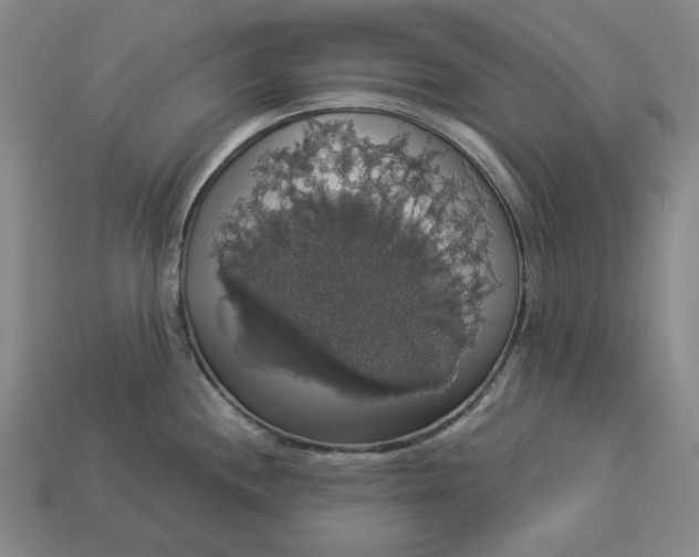 X0000112911244200909141244