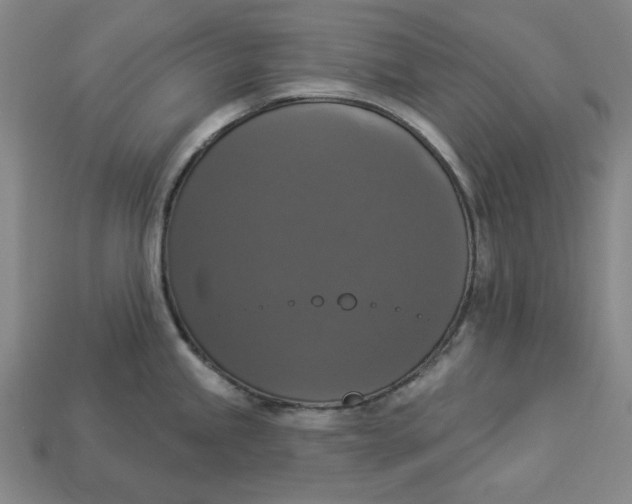 X0000112911245200909141244