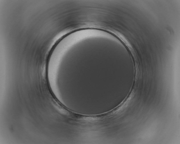 X0000112911246200909141244