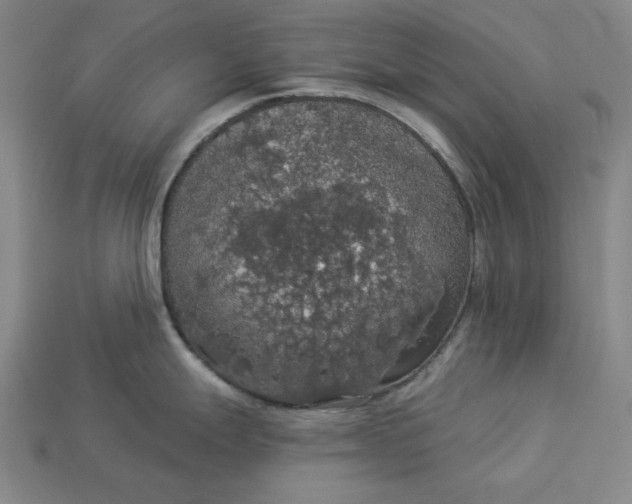 X0000112911247200909141244