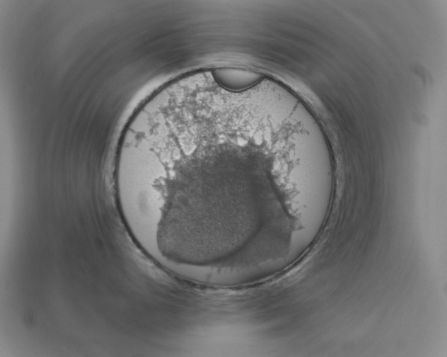 X0000112911248200909141244