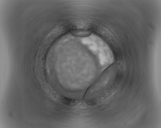 X0000112911249200909141243