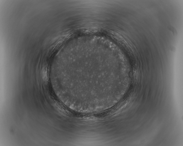 X0000112911250200909141243