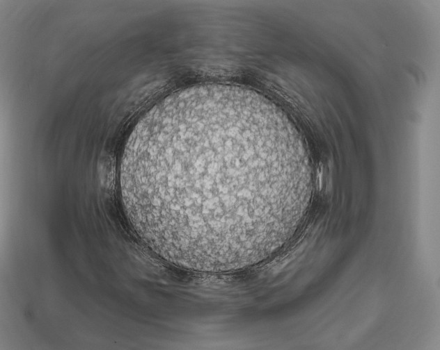 X0000112911251200909141243