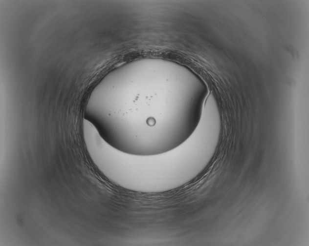 X0000112911252200909141243