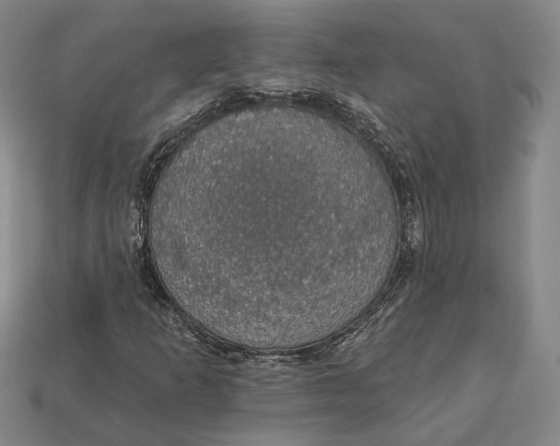 X0000112911253200909141243