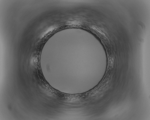 X0000112911254200909141243