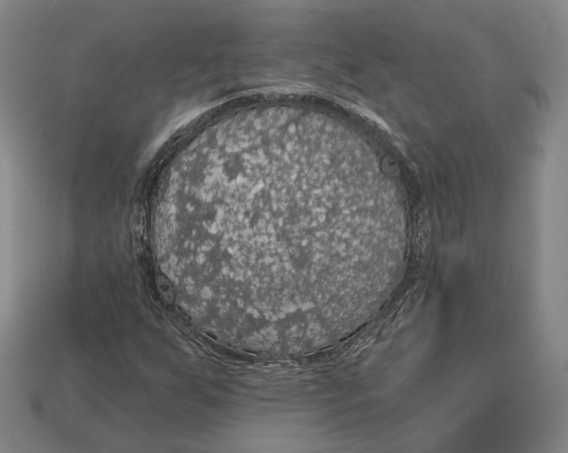 X0000112911255200909141243