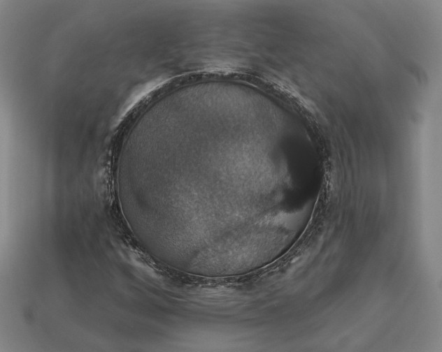 X0000112911256200909141243