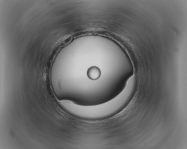 X0000112911257200909141243