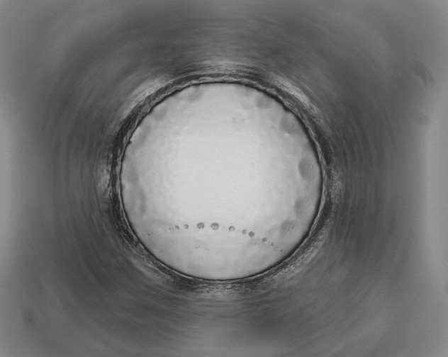 X0000112911259200909141243