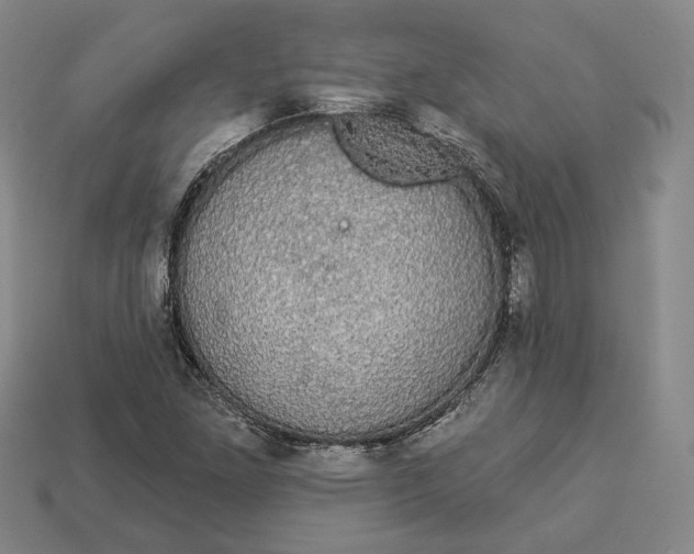 X0000112911261200909141243