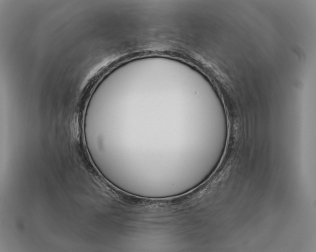 X0000112911262200909141243