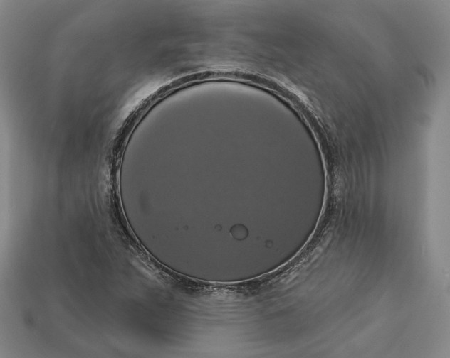 X0000112911263200909141243