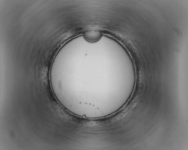 X0000112911265200909141243