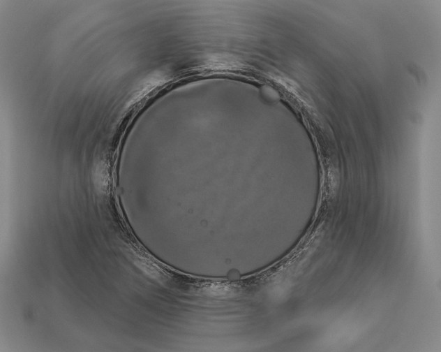 X0000112911266200909141243