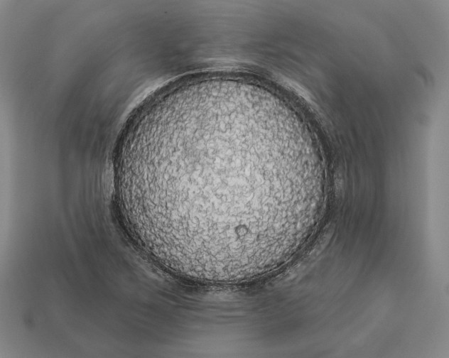 X0000112911267200909141243