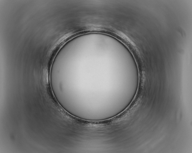 X0000112911269200909141243