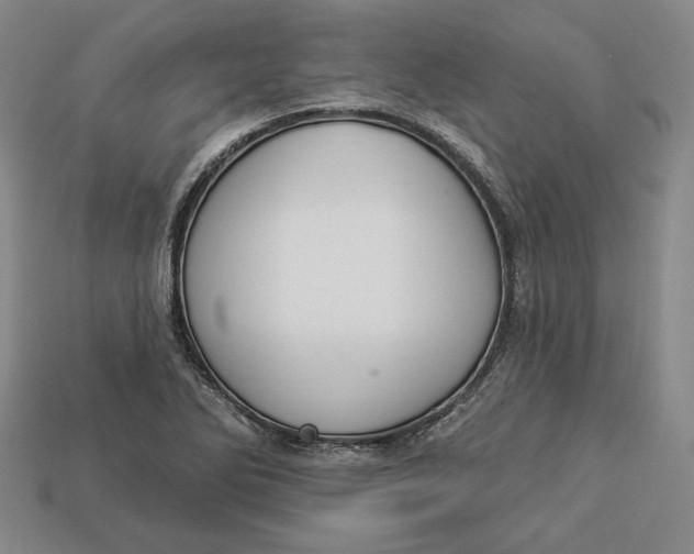 X0000112911270200909141243