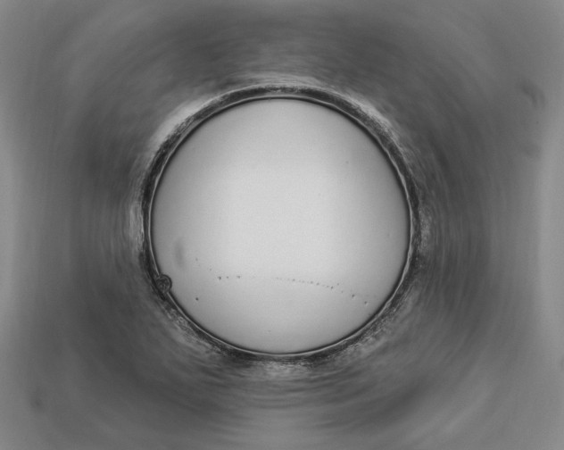 X0000112911271200909141243