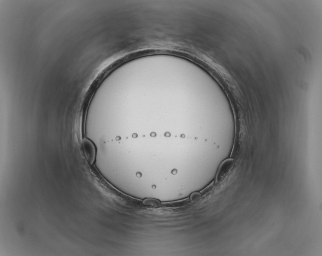 X0000112911272200909141243