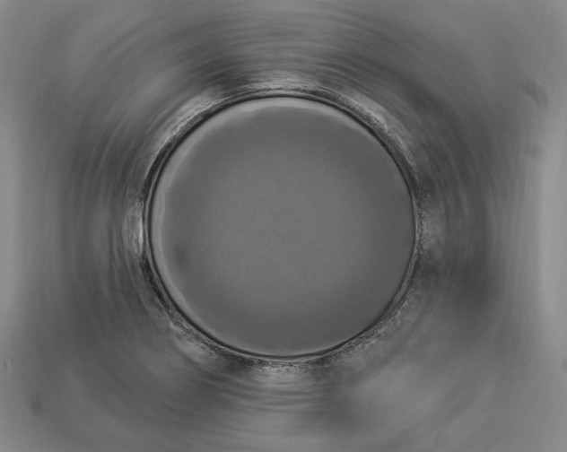 X0000112911274200909141243