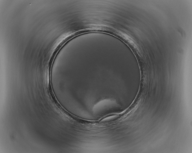 X0000112911275200909141243