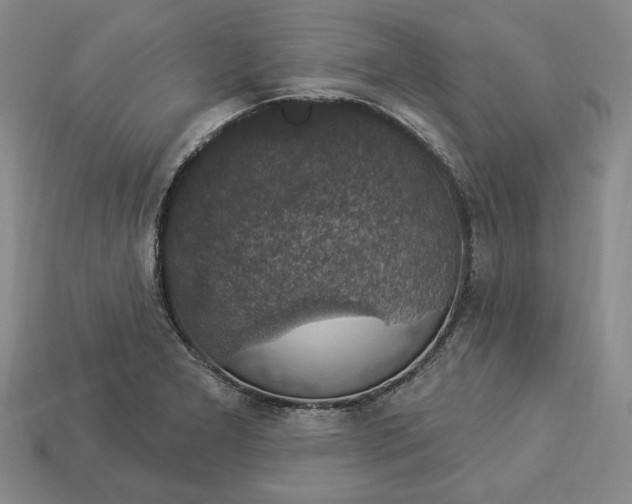 X0000112911277200909141243