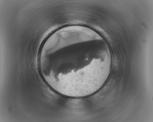 X0000112911278200909141243